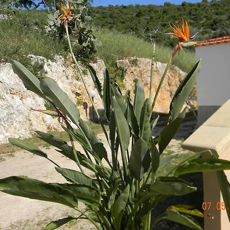 Guest house Agriturismo Affittacamere Atlhos Vieste